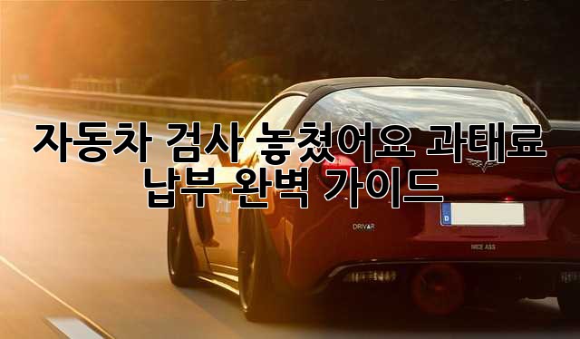 e67ed6fadf29ac18a51293a99289e646.jpg