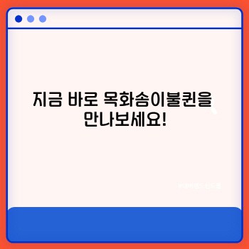 ec381cf0787b0238e603c61ed5837f24.jpg