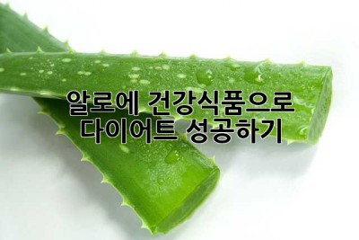 알로에 건강식품으로 다이어트 성공하기