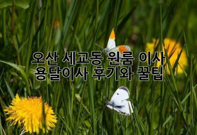 오산 세교동 원룸 이사, 용달이사 후기와 꿀팁!