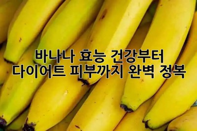 바나나🍌 효능, 건강부터 다이어트, 피부까지 완벽 정복!