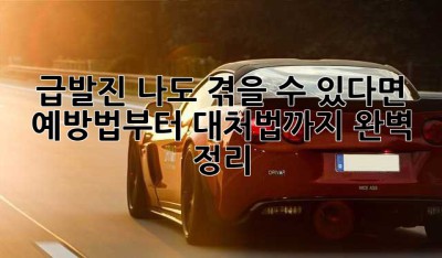 급발진, 나도 겪을 수 있다면? 예방법부터 대처법까지 완벽 정리!