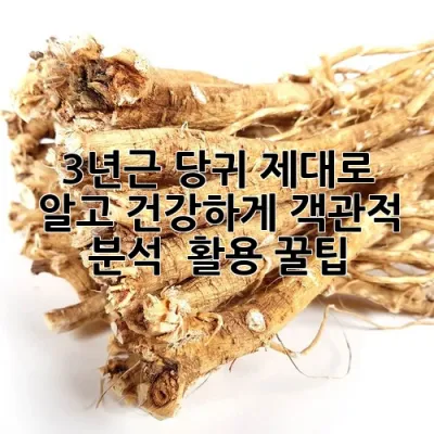 3년근 당귀, 제대로 알고 건강하게! 객관적 분석 & 활용 꿀팁 🍯