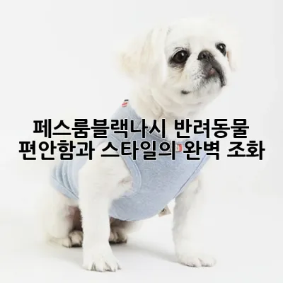 페스룸블랙나시, 반려동물 편안함과 스타일의 완벽 조화