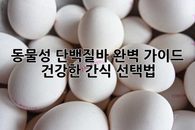 동물성 단백질바 완벽 가이드: 건강한 간식 선택법