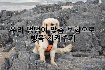 우리 댕댕이, 맞춤 보험으로 행복 지켜주기🐶