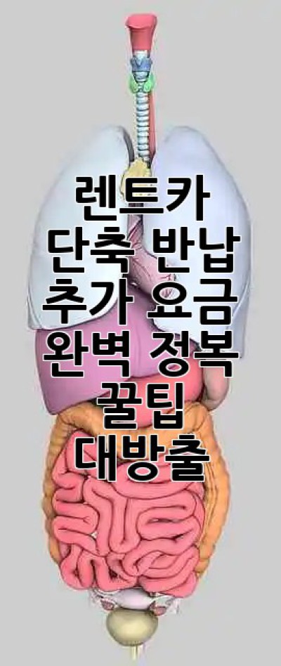 🚗 렌트카 단축 반납? 추가 요금 완벽 정복! 꿀팁 대방출 🍯