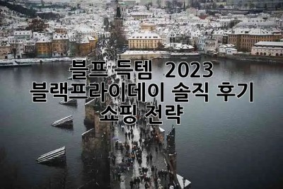 블프 득템? 😭 2023 블랙프라이데이 솔직 후기 & 쇼핑 전략 🛍️