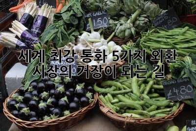 세계 최강 통화 5가지: 외환 시장의 거장이 되는 길