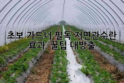 🪴 초보 가드너 필독! 저면관수란? 효과 & 꿀팁 대방출 🍯